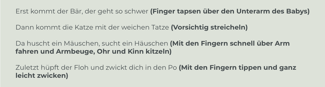 Kommt der Bär Fingerspiel